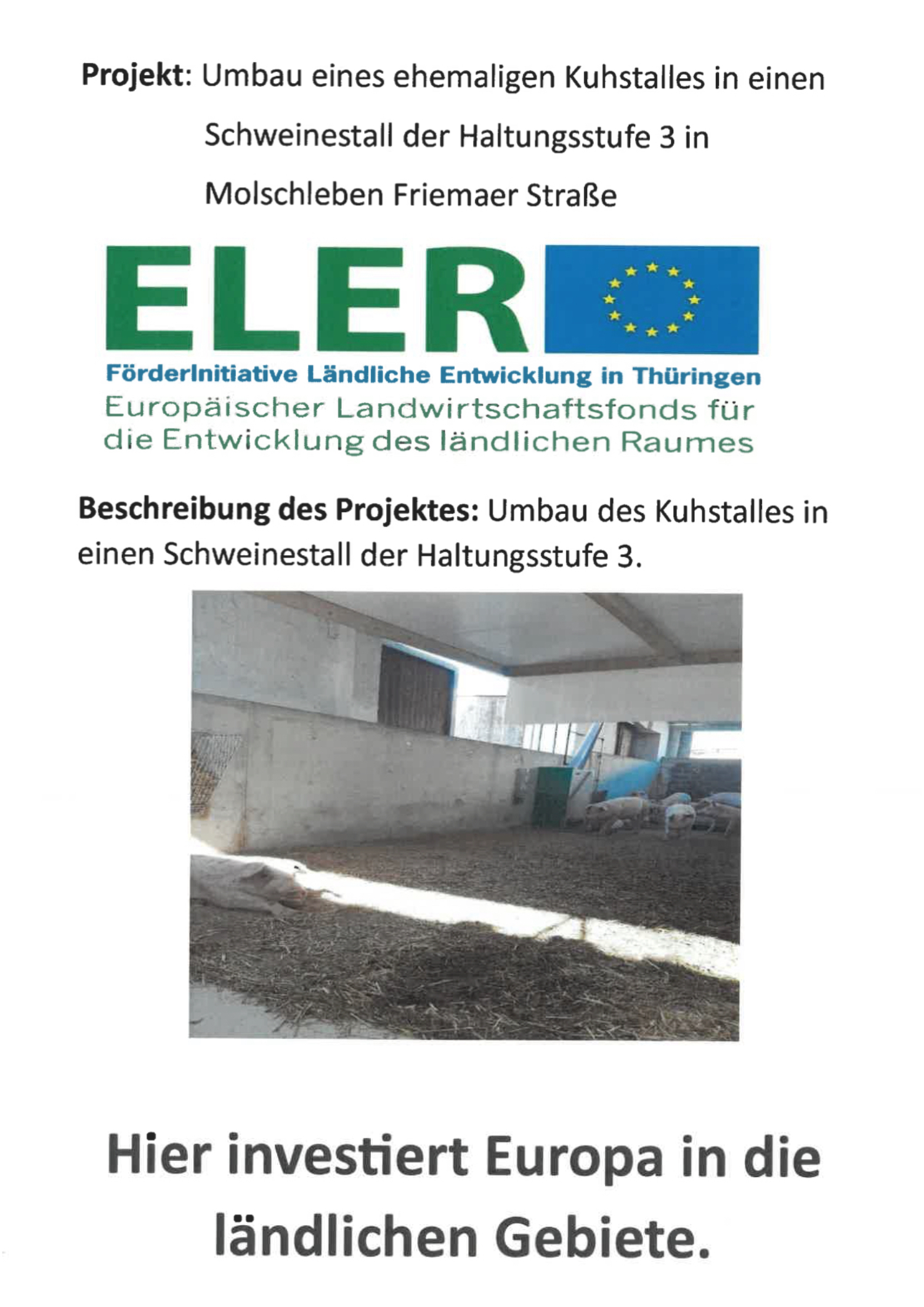 eler-foerderinitiative.jpg